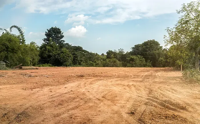 Vacant Lots In HOAs: Legal, Financial, and Aesthetic Considerations